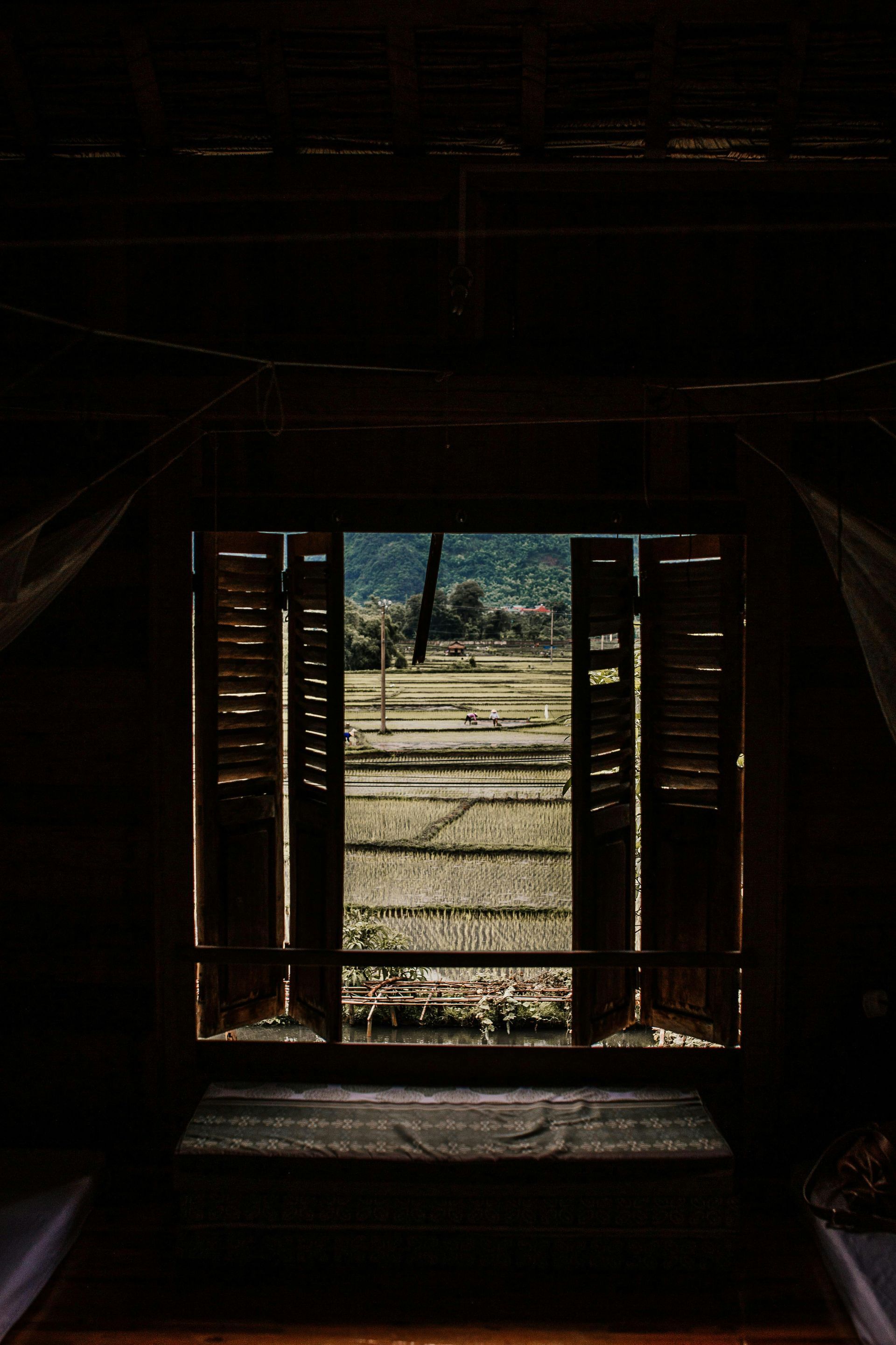 Dark interior view through open shutters to a field. Brown shutters and walls, sunlit field beyond.