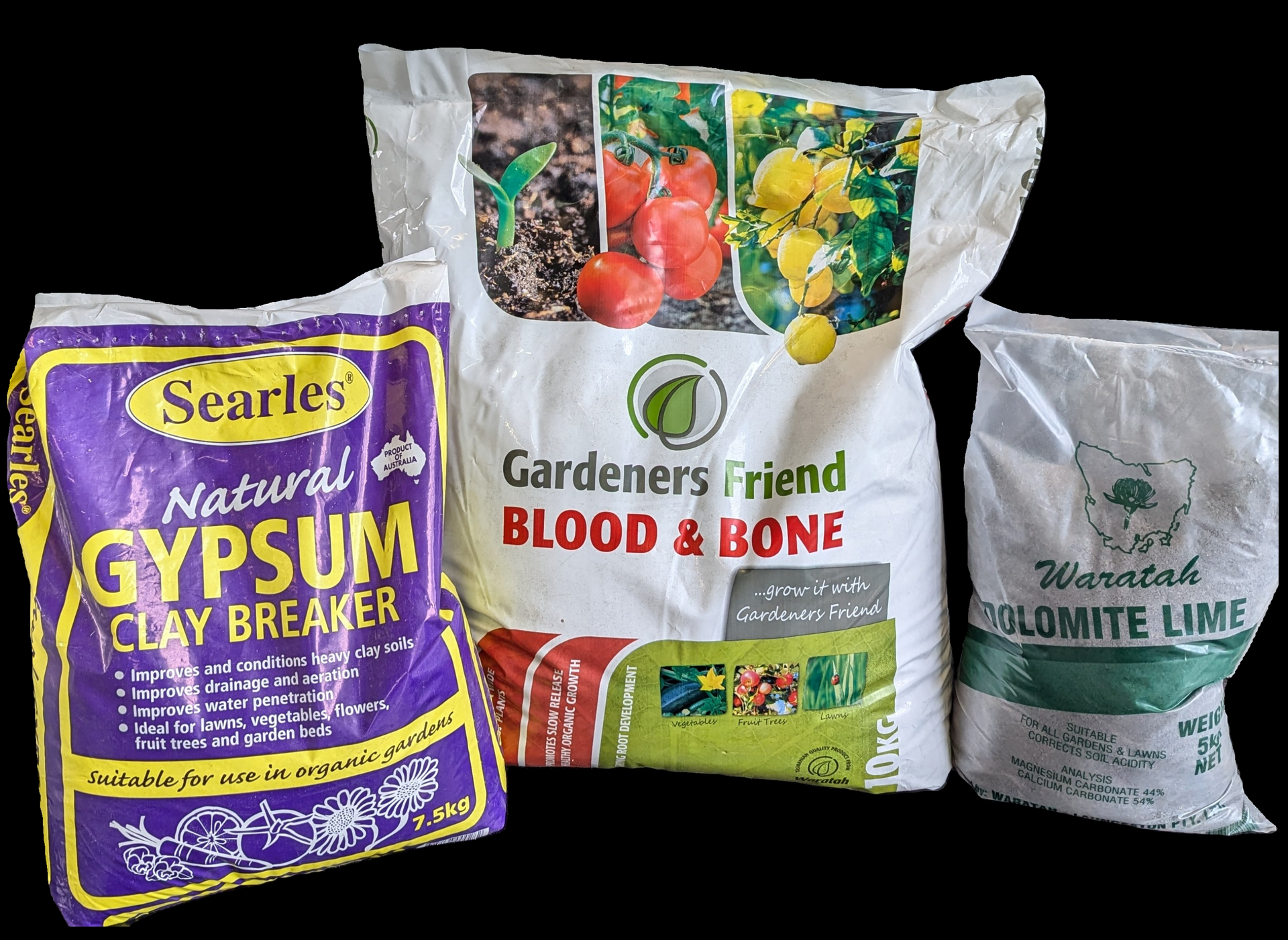 A garden filled with lots of flowers and a path.