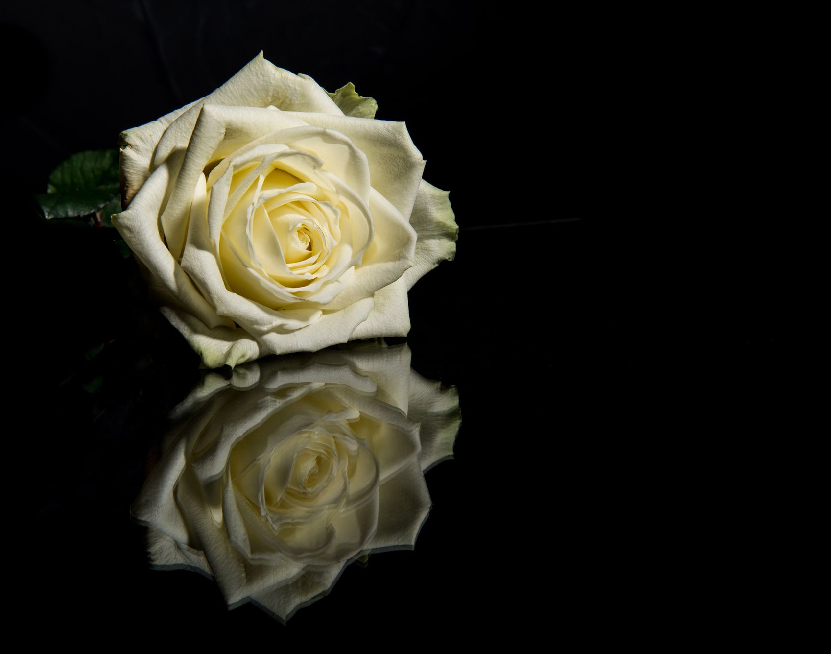 Due rose rosse e una candela