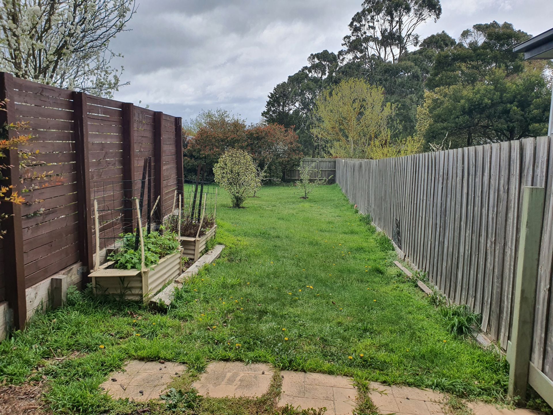 A small backyard with a wooden fence, grass, plants, and a cloudy sky — JKR Garden Maintenance Services in Ballan, VIC
