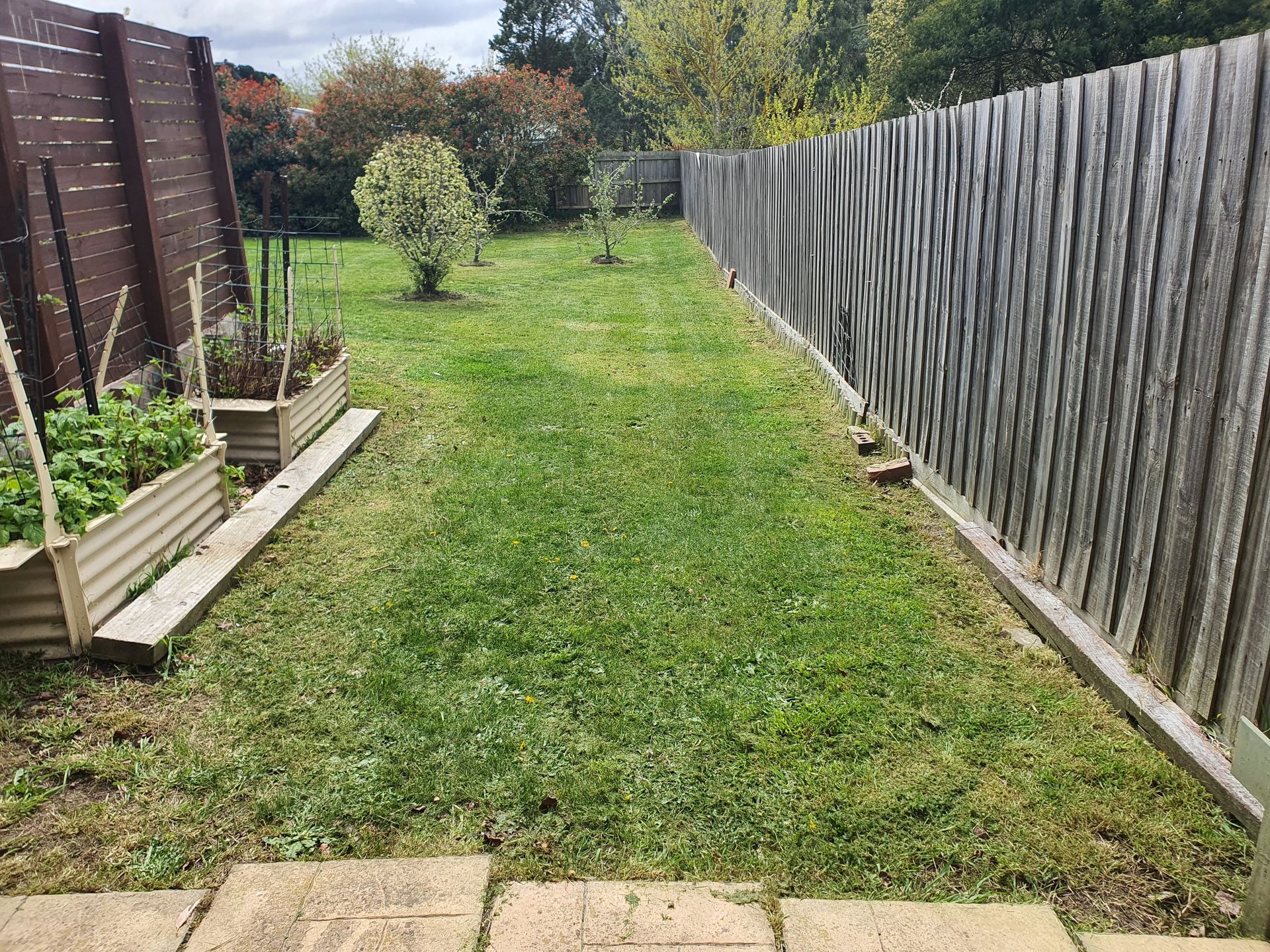 Backyard with lawn, raised garden beds, and wooden fences on each side — JKR Garden Maintenance Services in Ballan, VIC