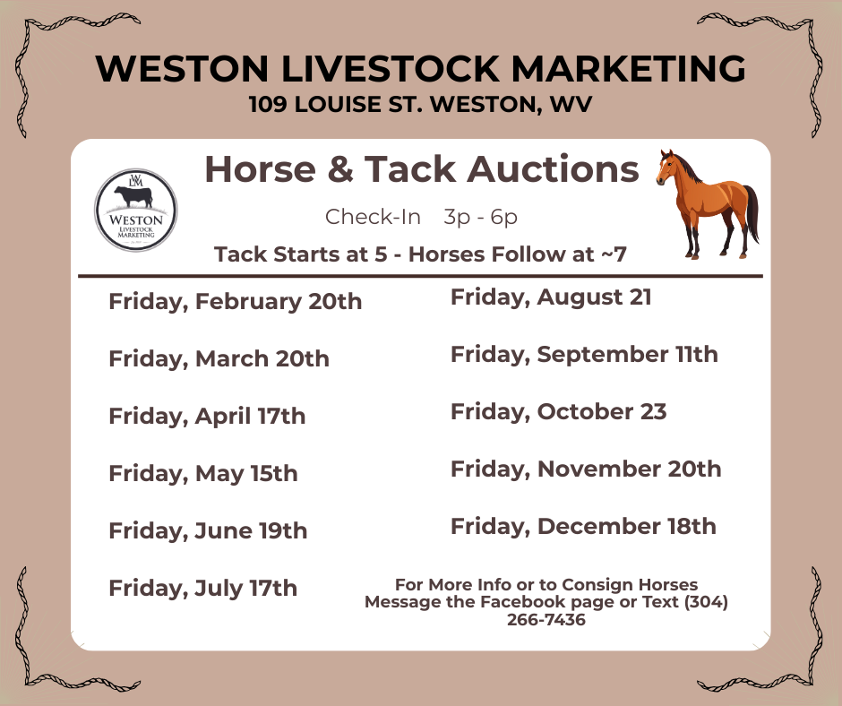 Flyer for Weston Livestock Marketing horse & tack auctions, featuring dates, times, and contact info.