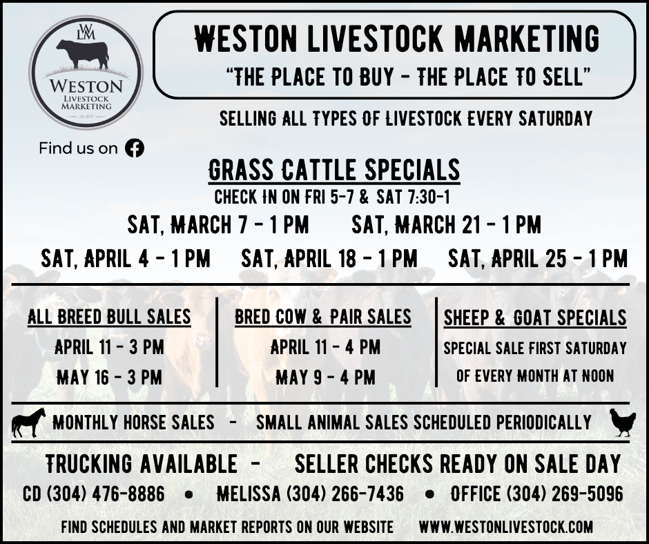 Advertisement for Weston Livestock Marketing, listing livestock sale dates and contact information.