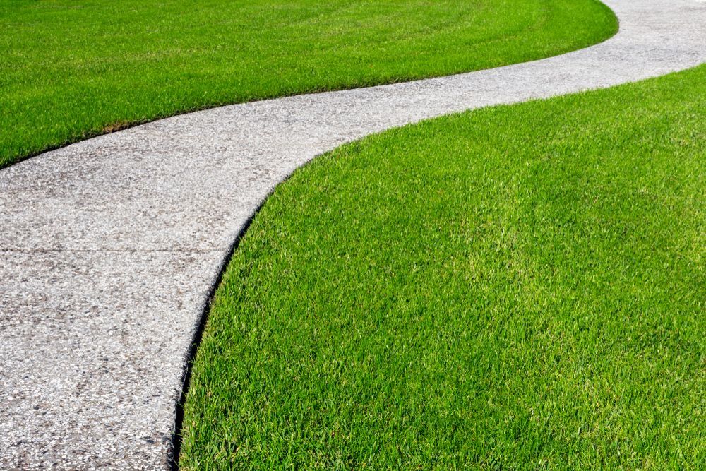A concrete walkway going through a lush green field of grass.