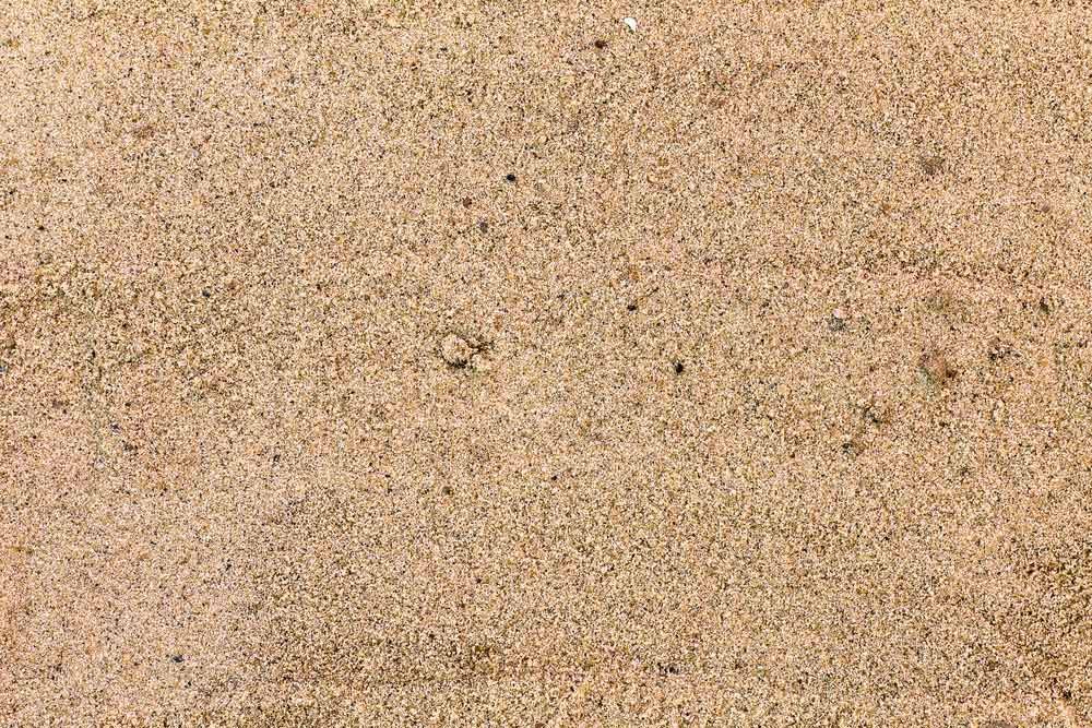 Close-up of Smooth, Light Brown Sand With Tiny, Scattered Darker Grains on the Port Macquarie