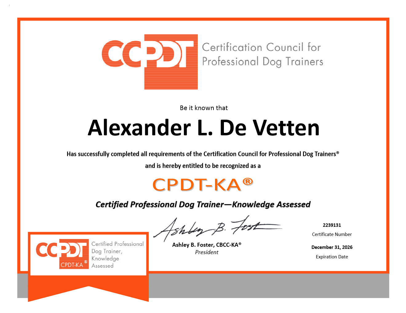 Professionele begeleiding (CPDT-KA gecertificeerd)