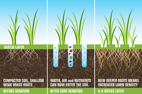 Fertilization Services | New Jersey | SteepleChase Complete Turf ...