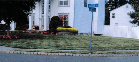 Beautiful Landscape — New Jersey — SteepleChase Complete Turf & Irrigation