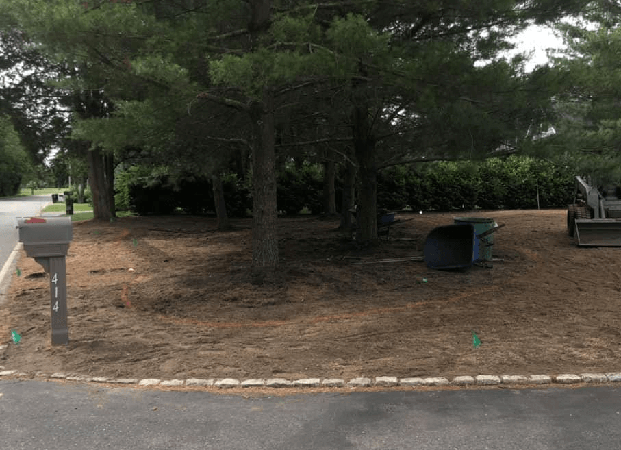 Fixing a Landscape with Trees — New Jersey — SteepleChase Complete Turf & Irrigation