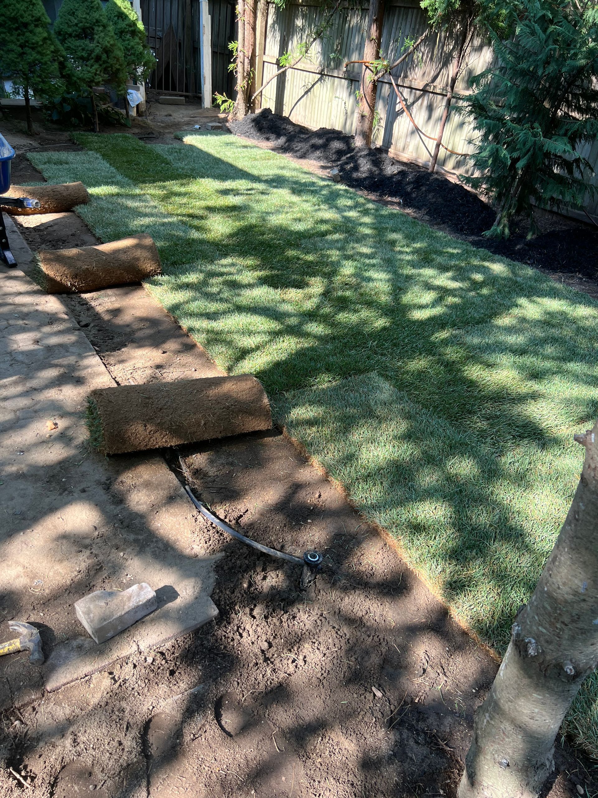 A person is laying rolls of sod in a yard.