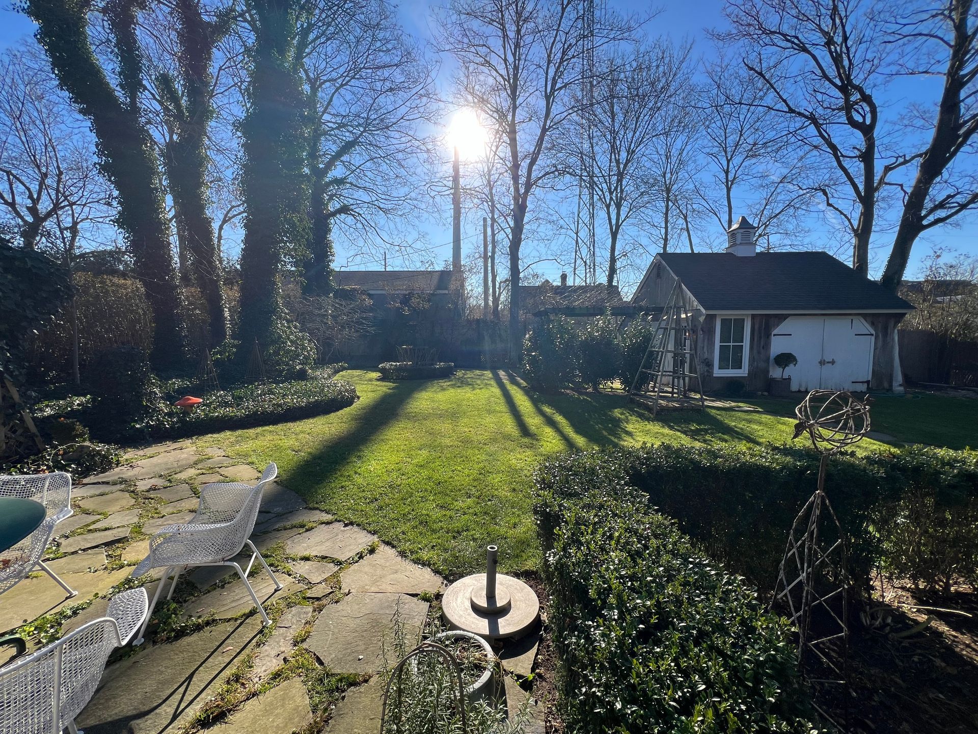 The sun is shining through the trees in the backyard