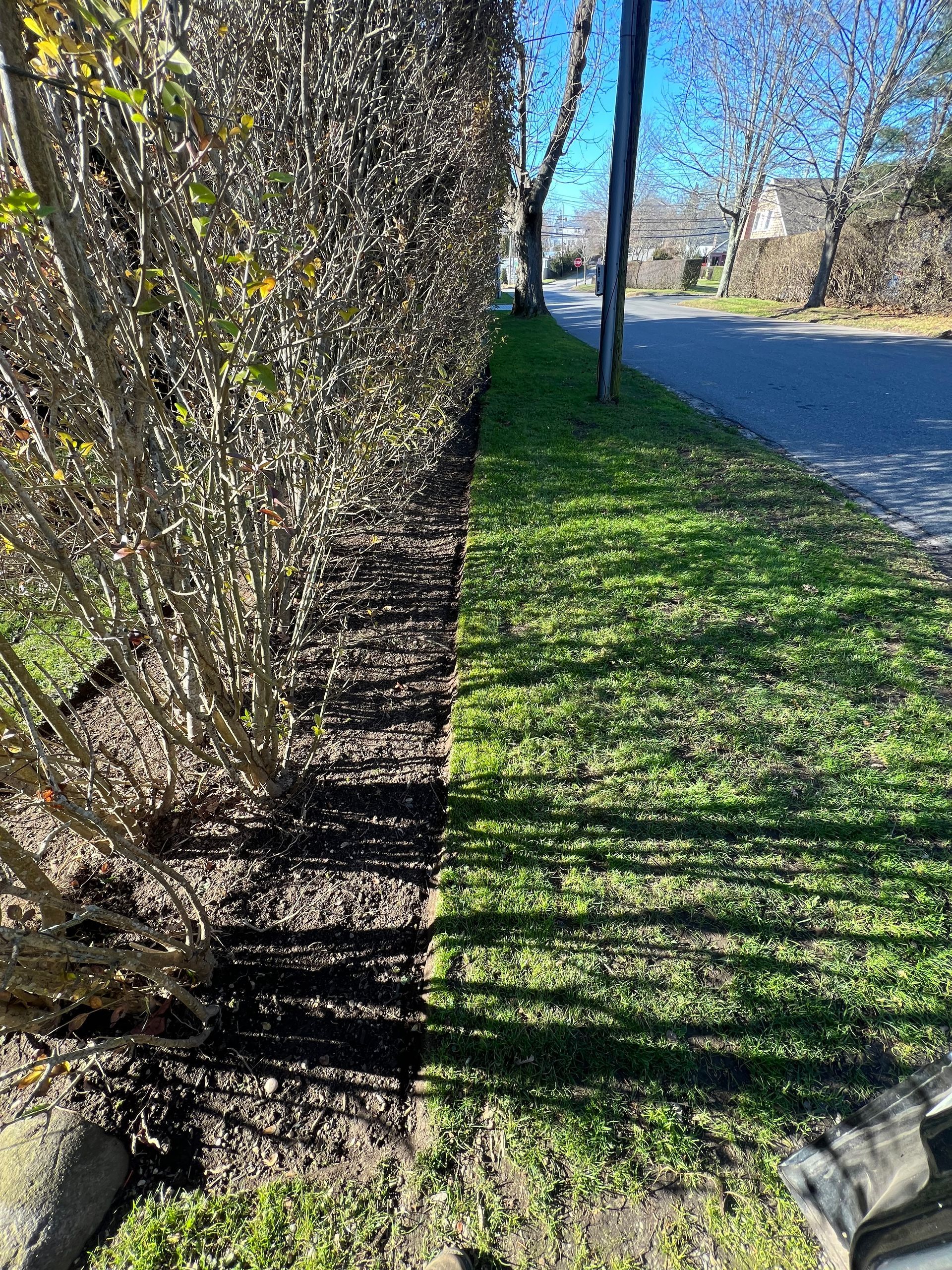 A person is standing on the side of a road next to a hedge.