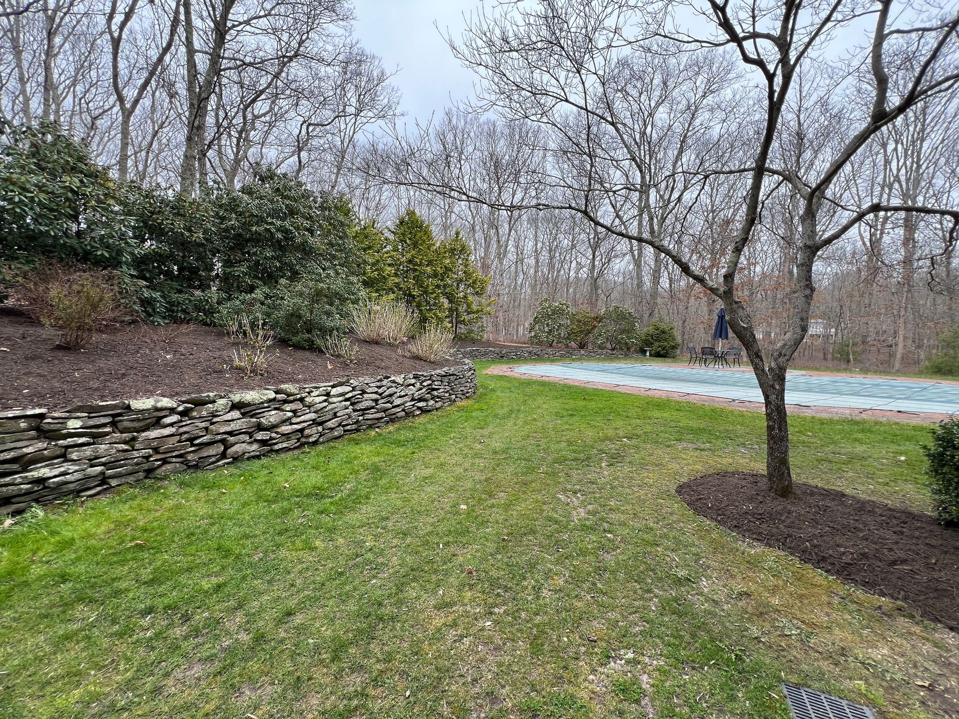 A large lawn with a stone wall and a swimming pool in the background.