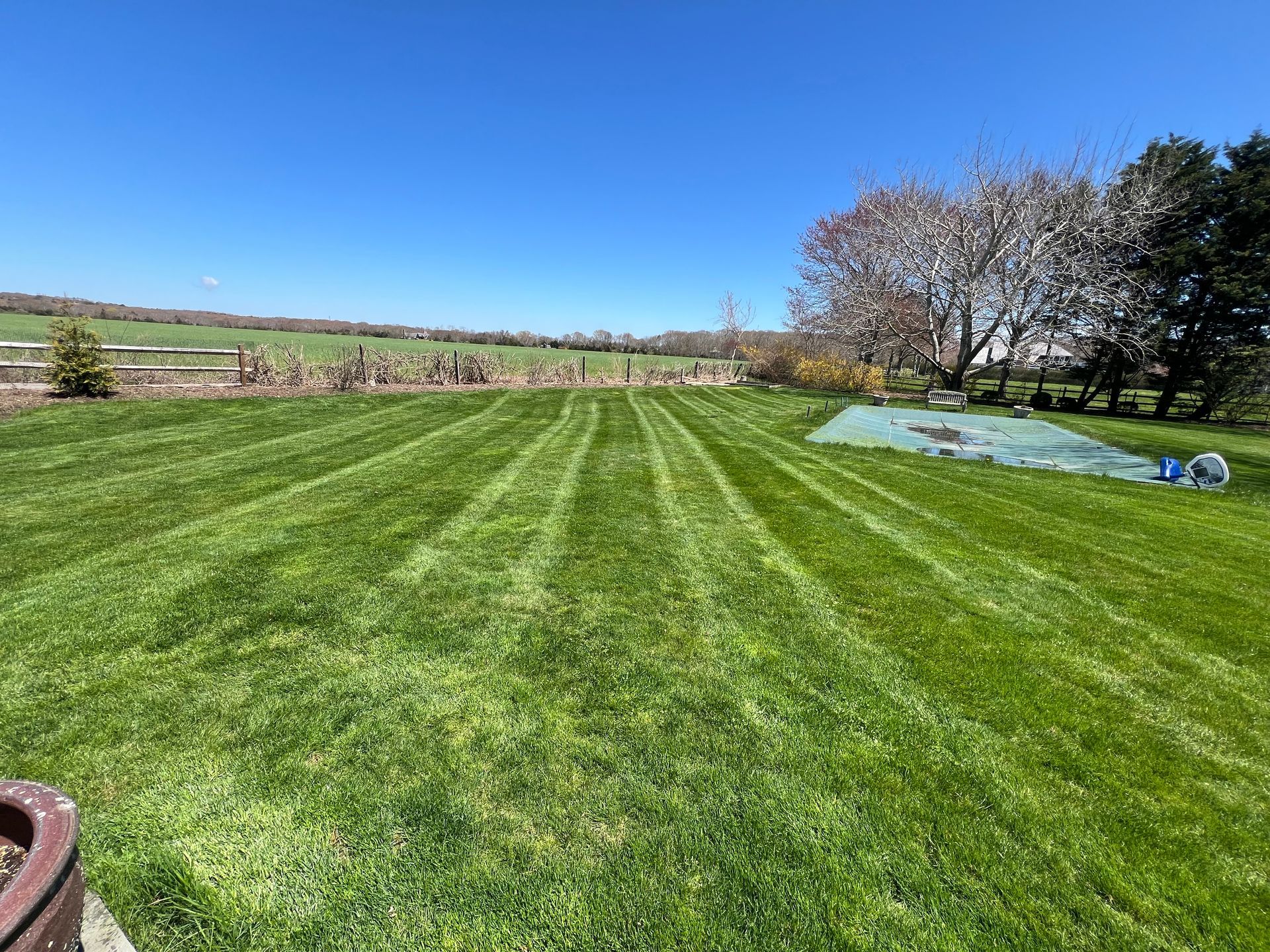 A large lush green lawn with a blue sky in the background.