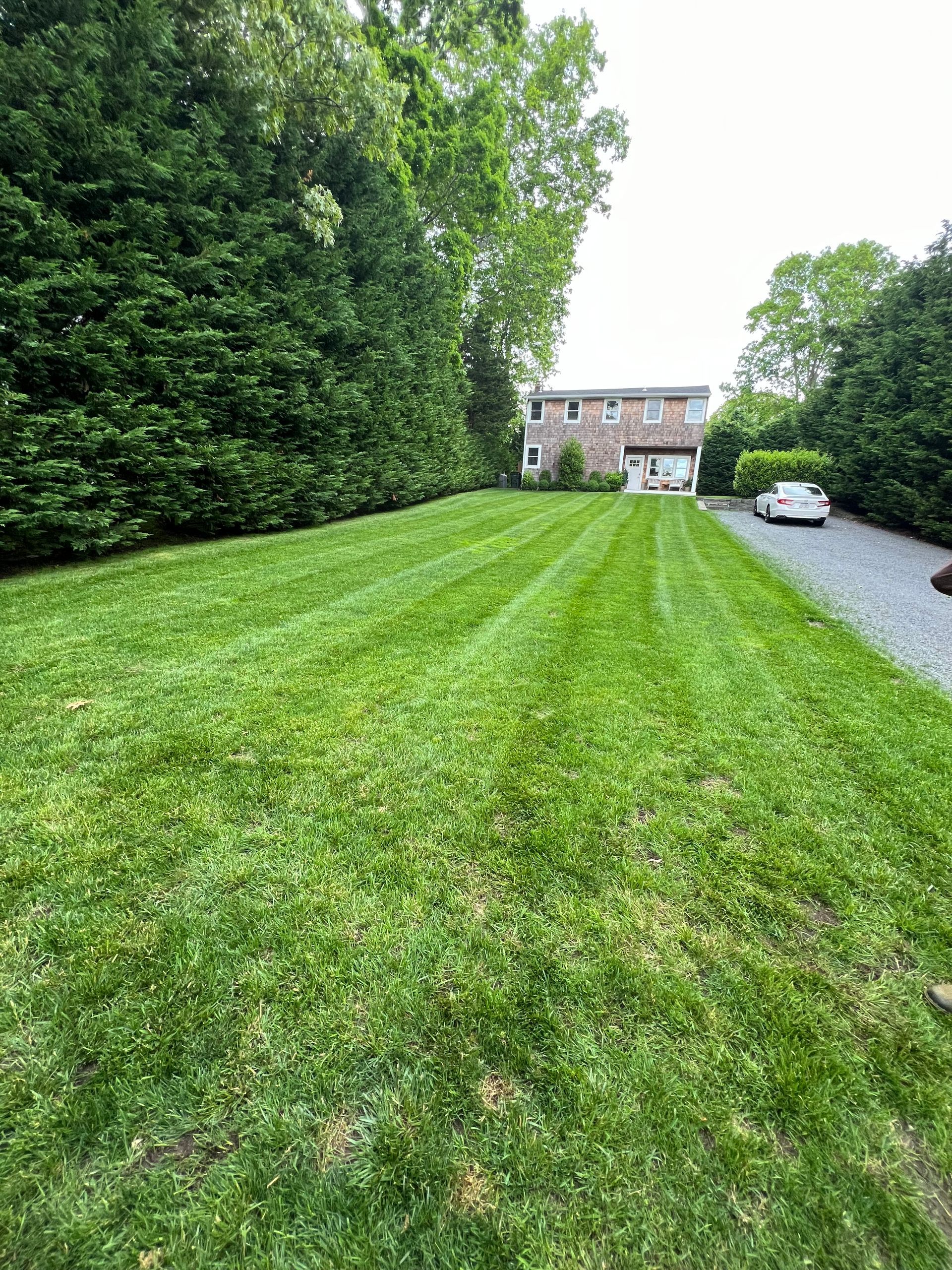 A lush green lawn with a house in the background and a car parked in the driveway.