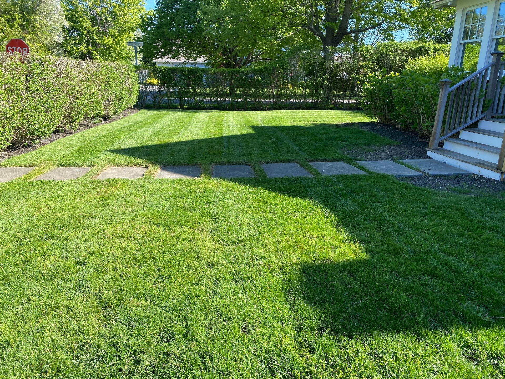 A lush green lawn in front of a house with stairs leading up to it.