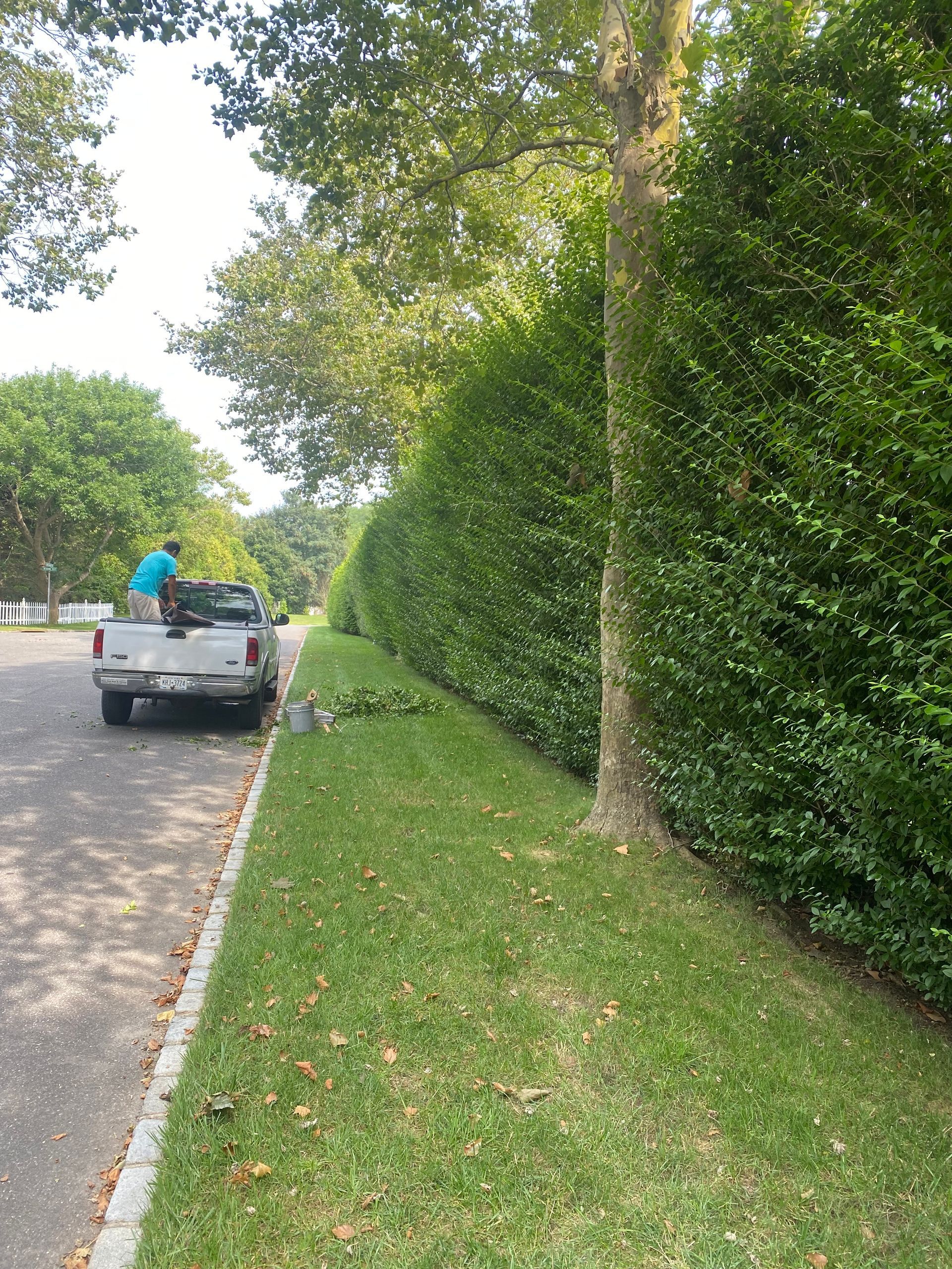 A truck is parked on the side of the road next to a hedge.