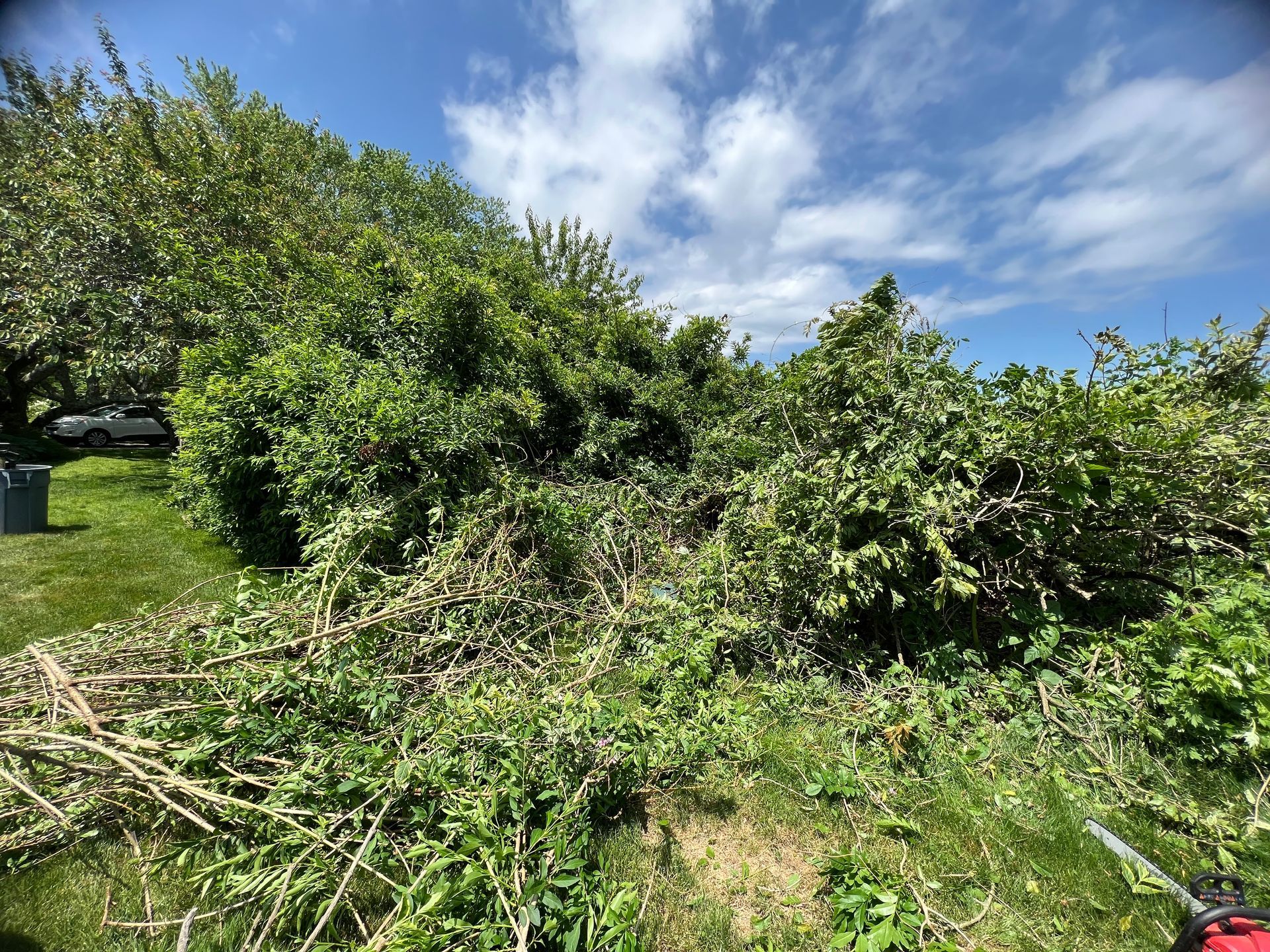 A large pile of brush is sitting in the middle of a grassy field.