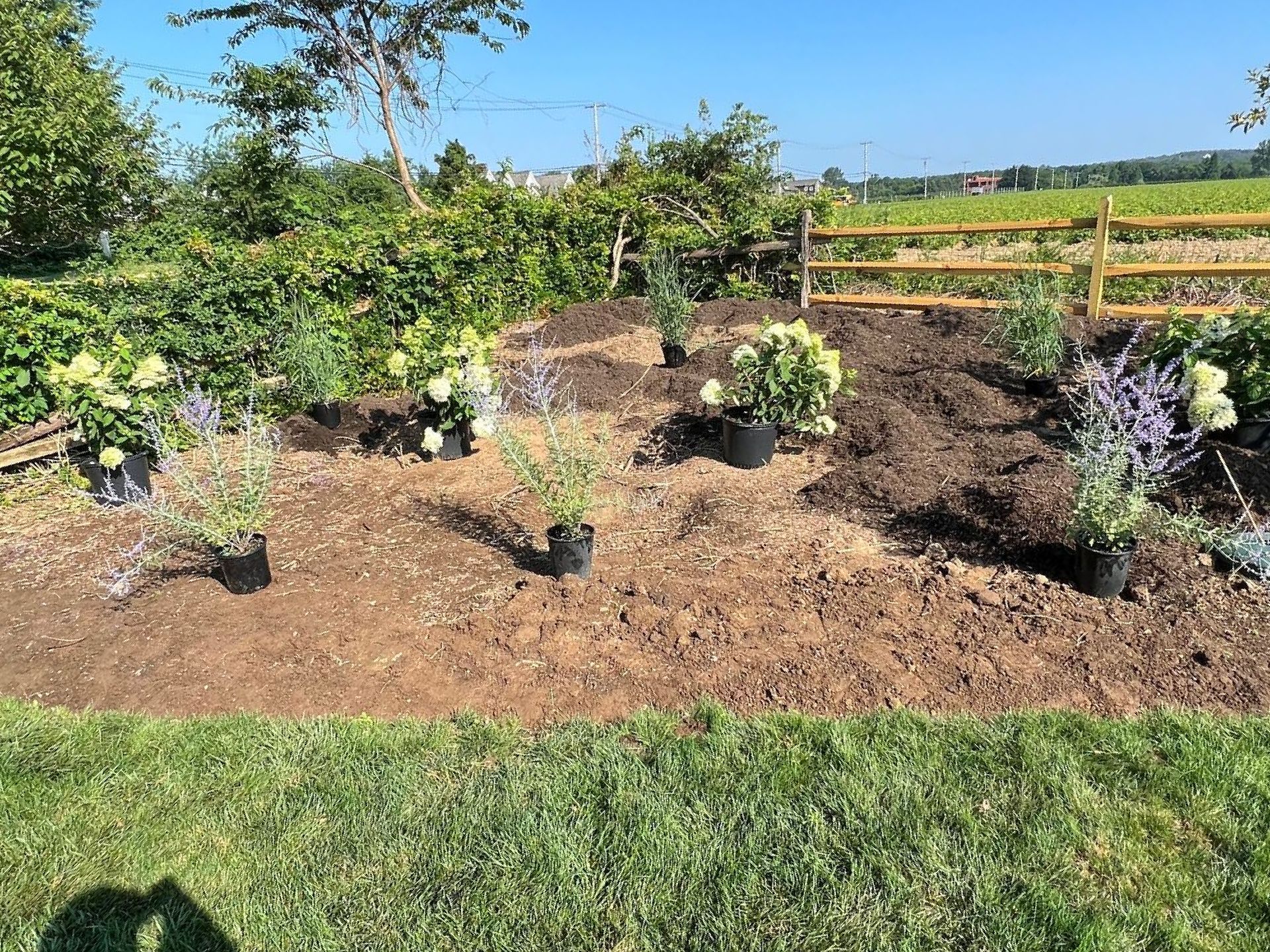 A garden with potted plants and a wooden fence in the background.