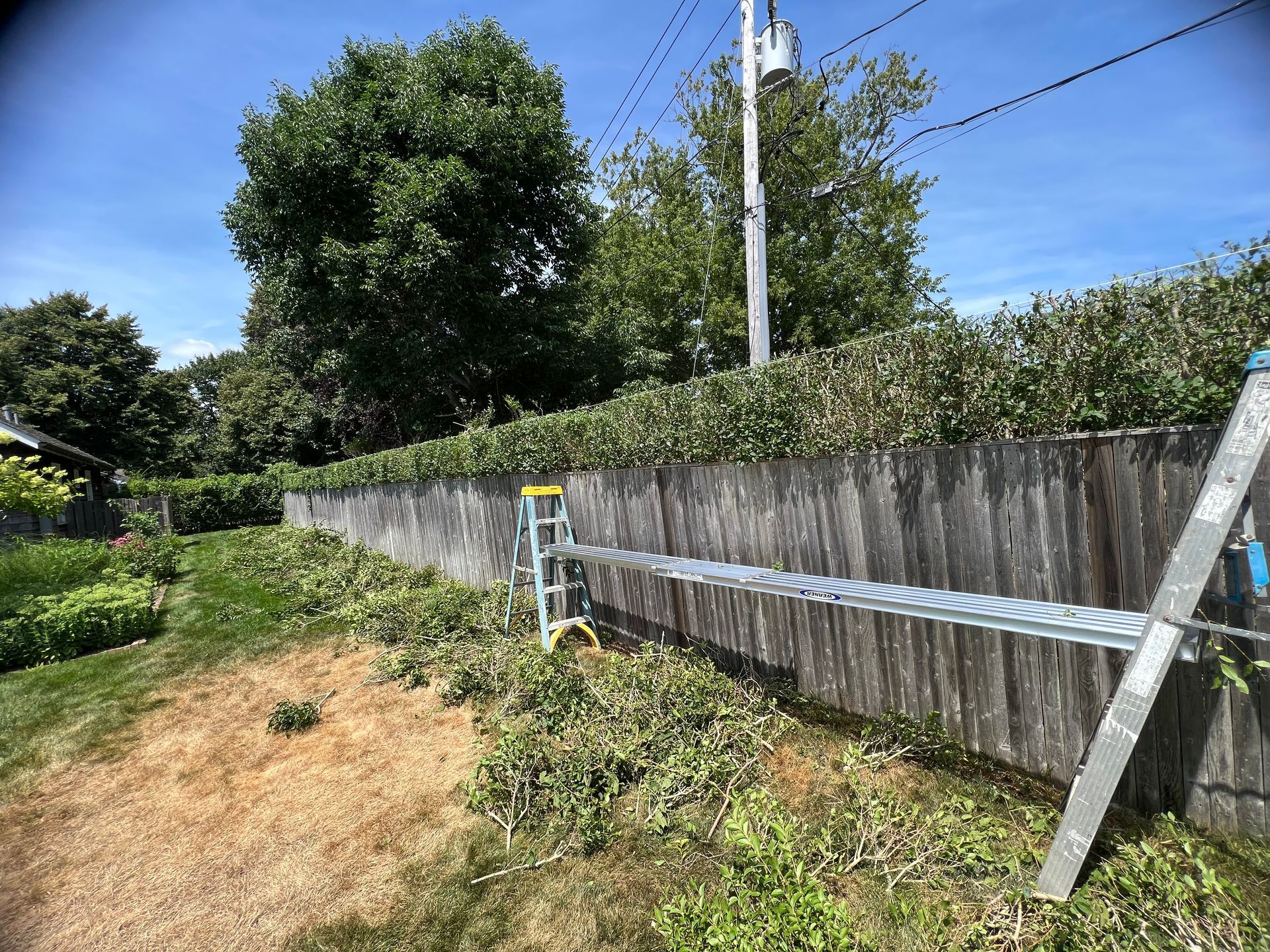 A ladder is sitting next to a wooden fence in a yard.