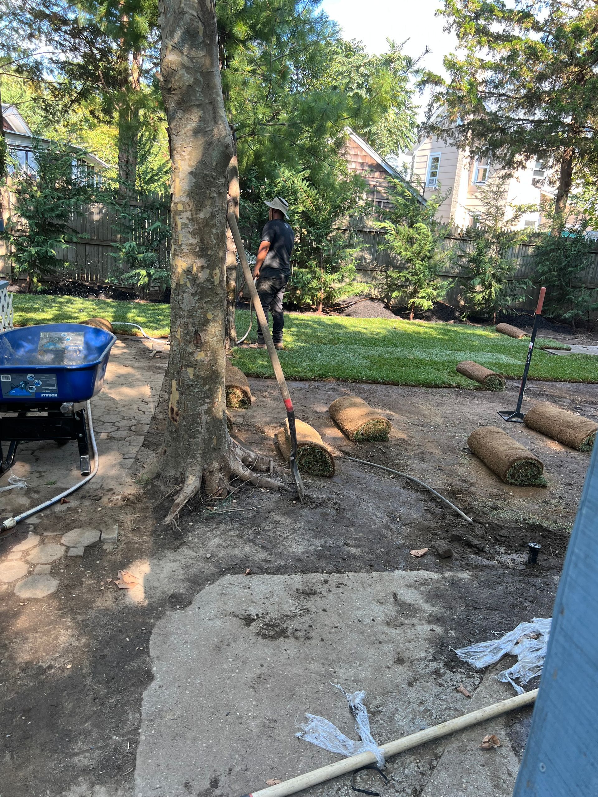 A man is raking grass in a yard with a wheelbarrow.
