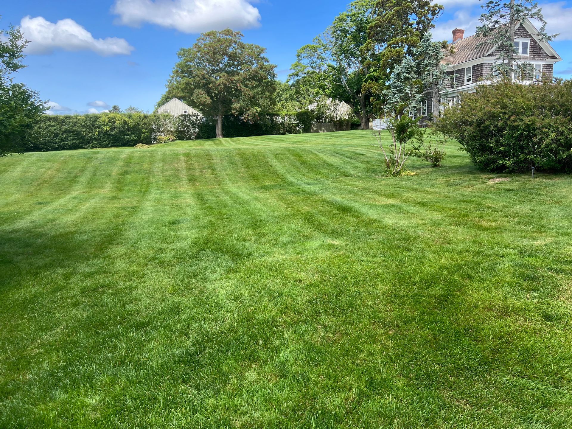 A large lush green lawn with a house in the background.