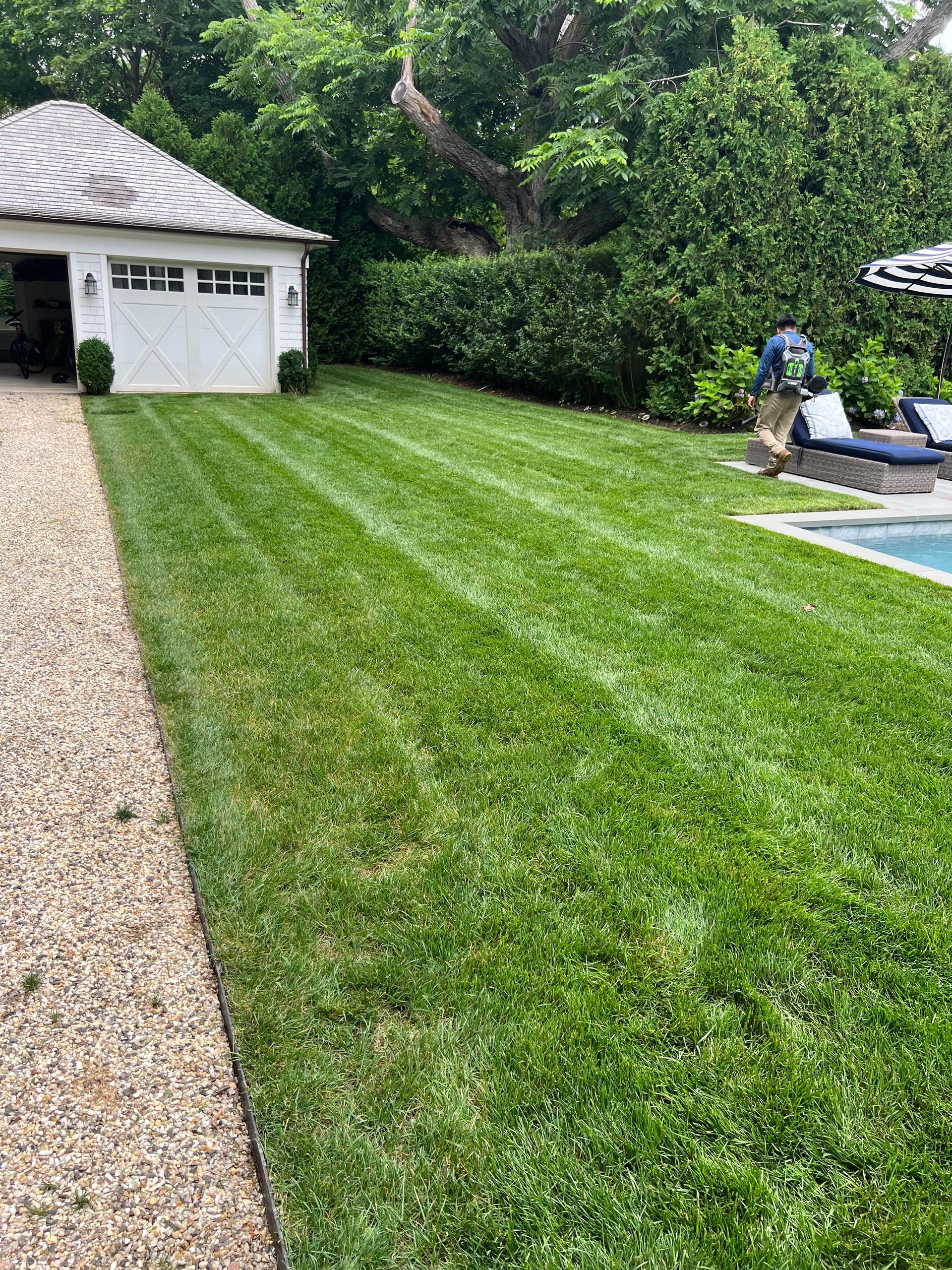A lush green lawn next to a swimming pool and a garage.