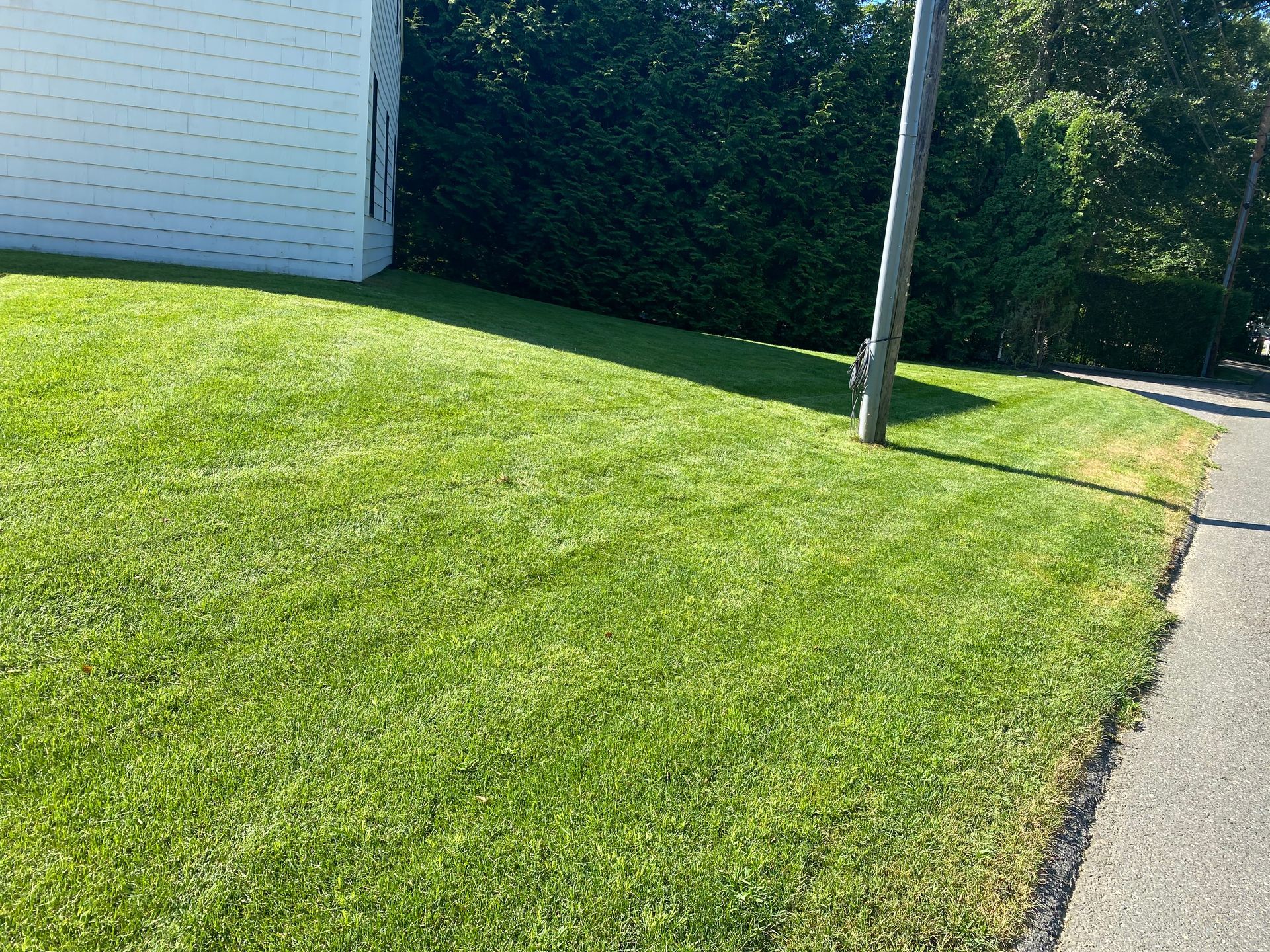 A lush green lawn next to a sidewalk and a white building.