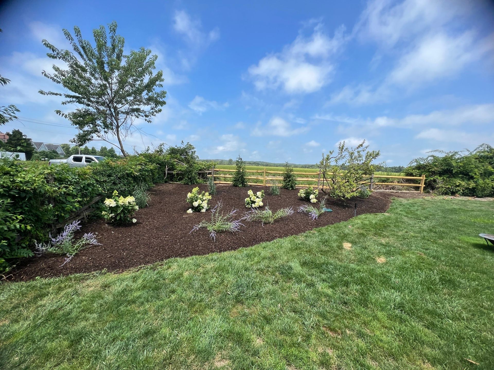 A lush green lawn with a wooden fence in the background.