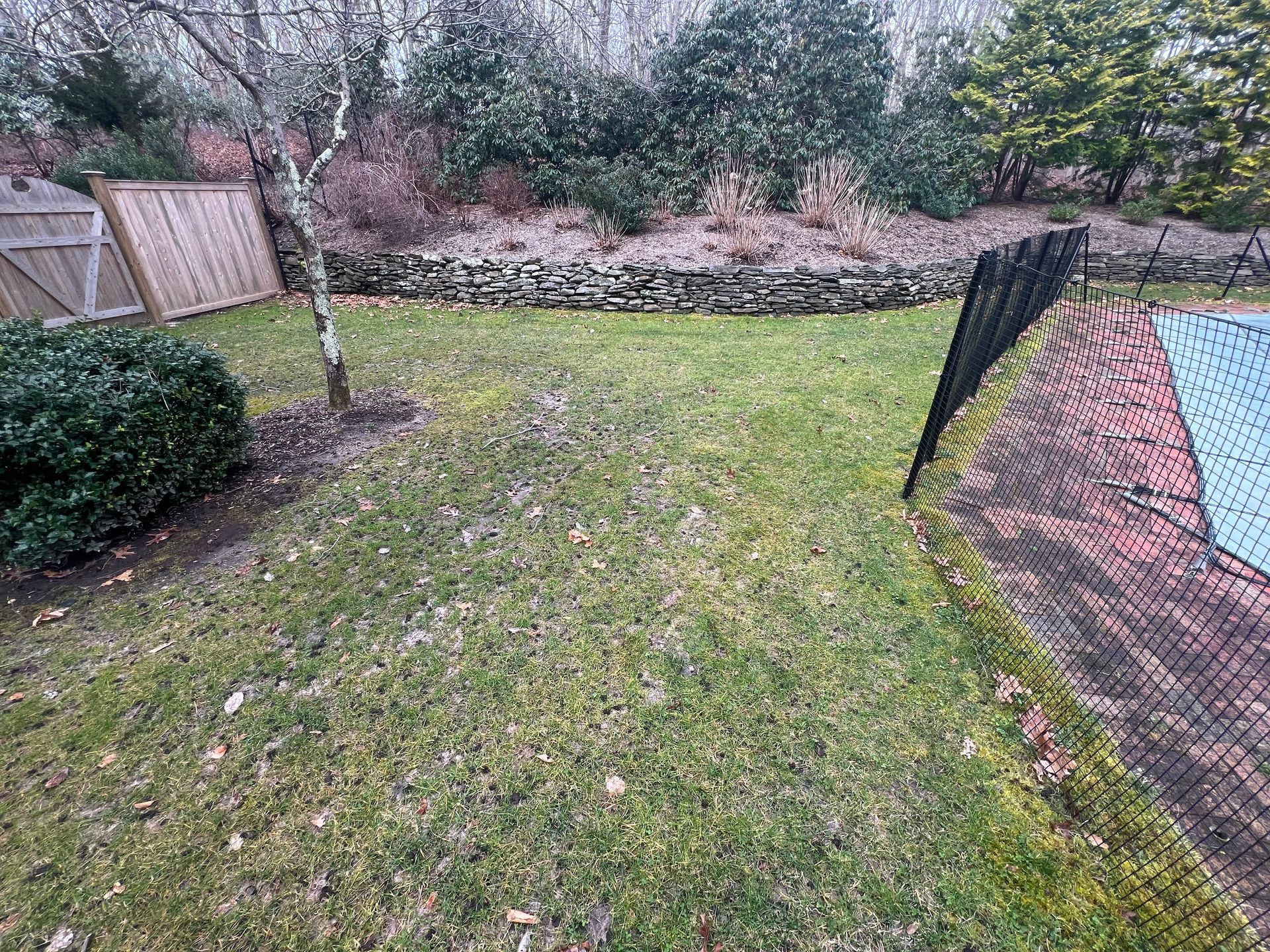 A backyard with a fence and a swimming pool.