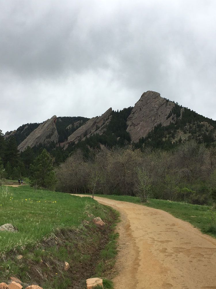 A dirt road going through a grassy field with mountains in the background.