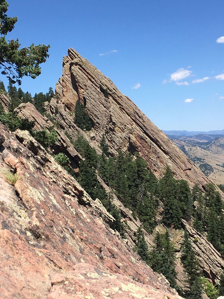A large rocky mountain surrounded by trees on a sunny day.