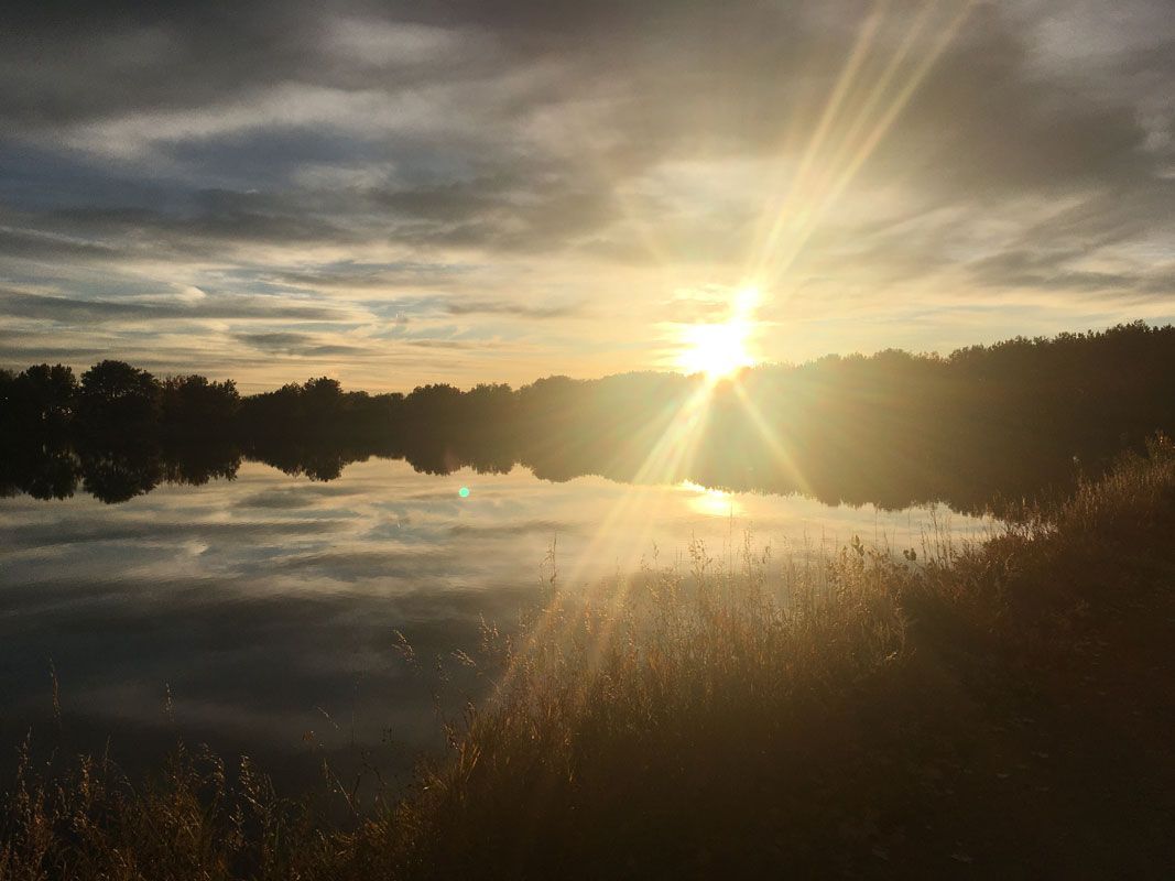 The sun is setting over a lake with trees in the background.
