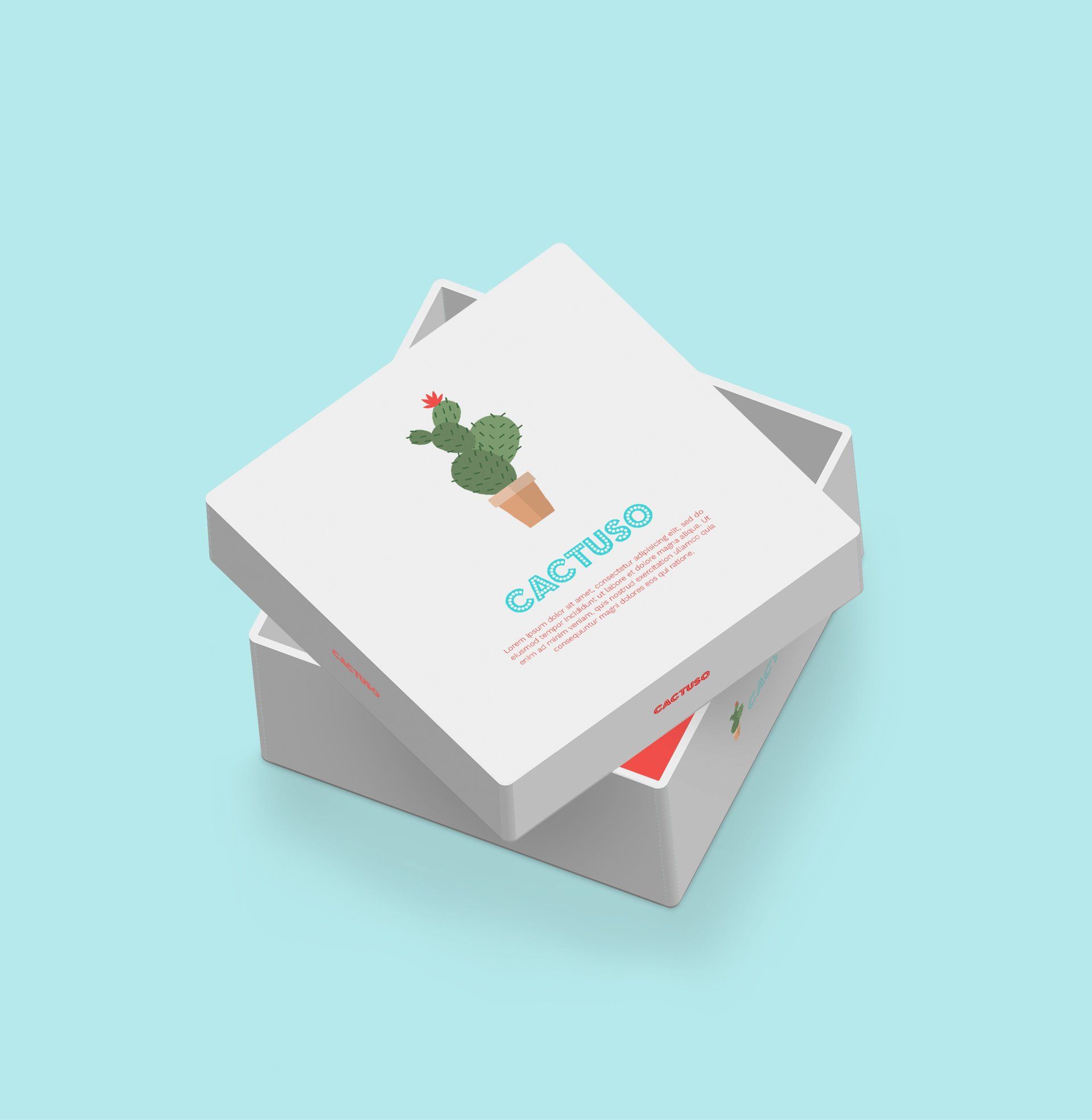 A white box with a picture of a cactus on it.