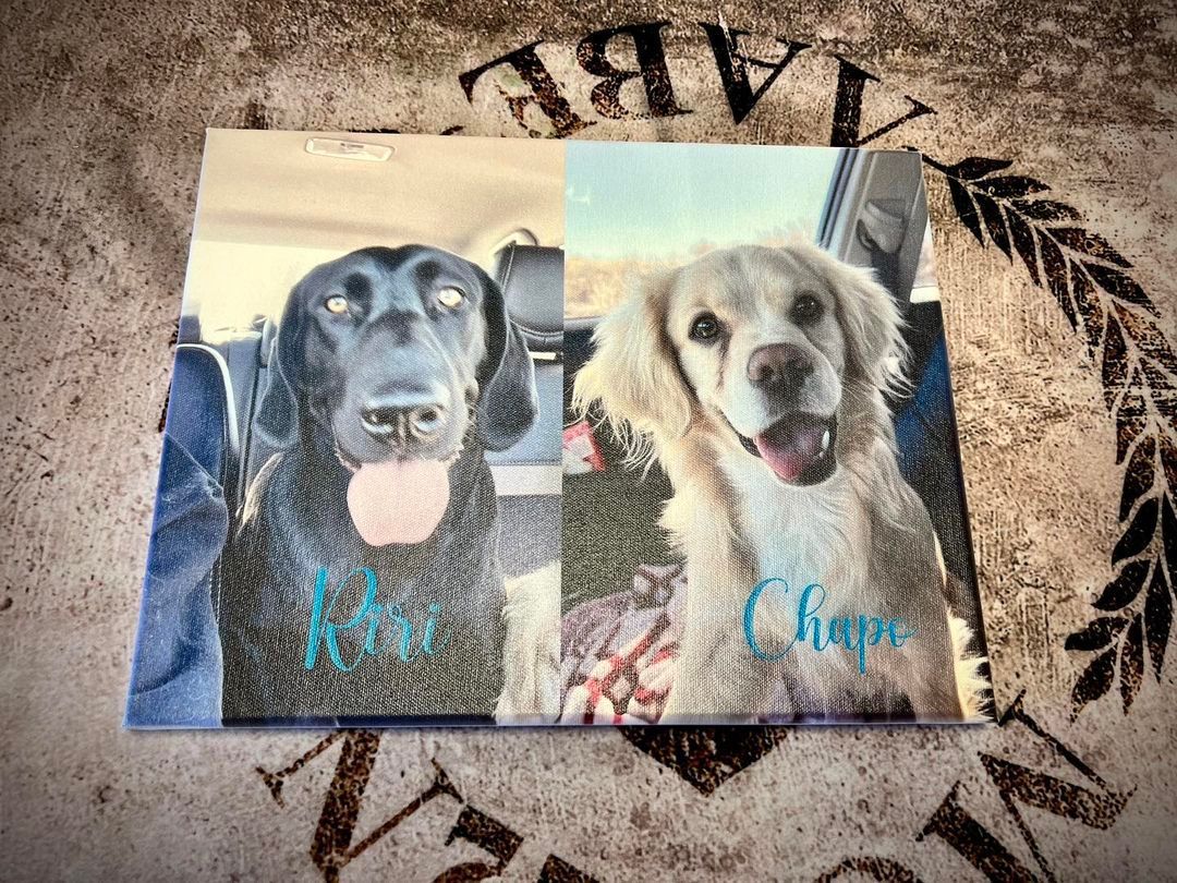 Two dogs are sitting next to each other on a canvas.