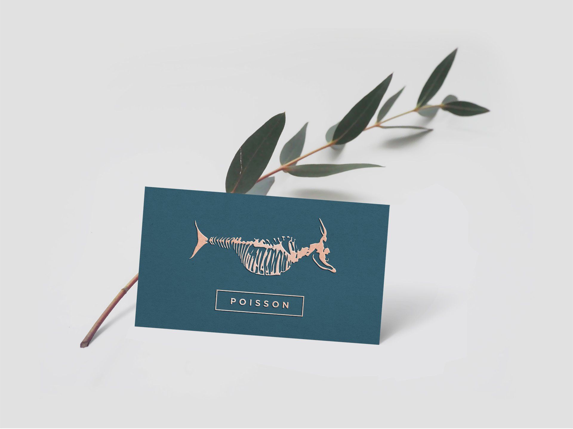 A business card with a picture of a fish on it