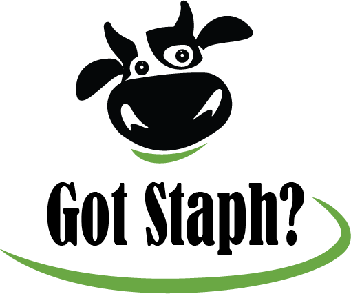 A black and white cow with the words `` got staph '' written below it.