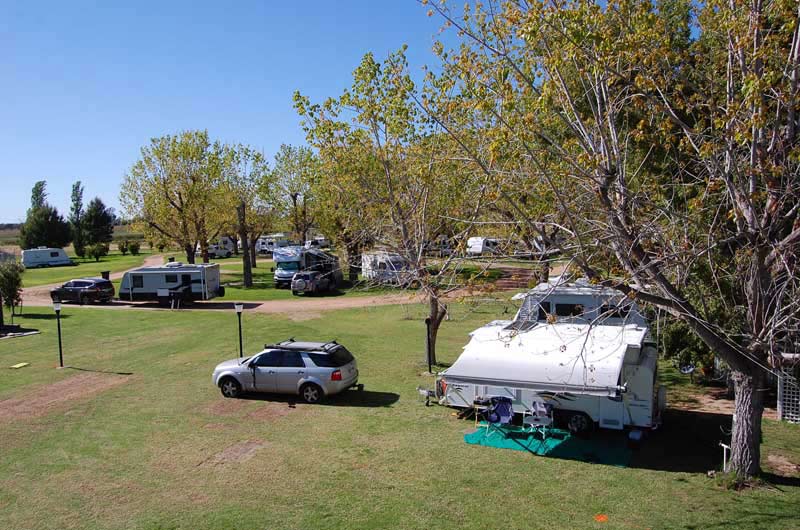 cars and caravans in park in curlwaa