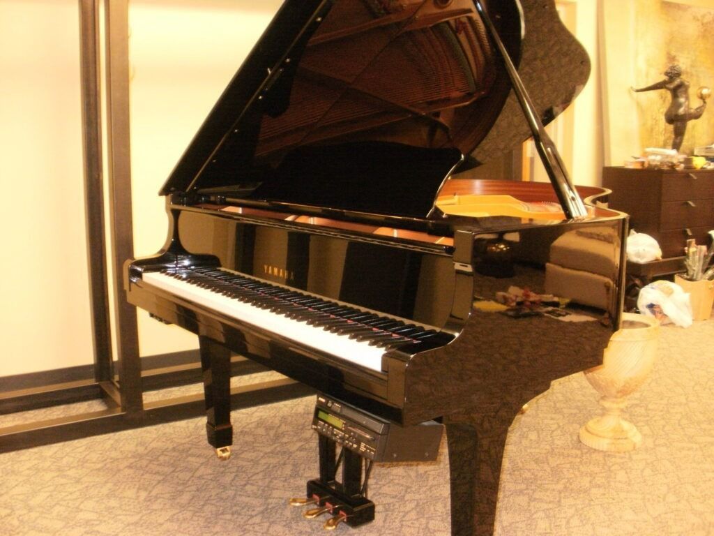 A polished black grand piano with its lid open stands in a room with patterned carpeting.