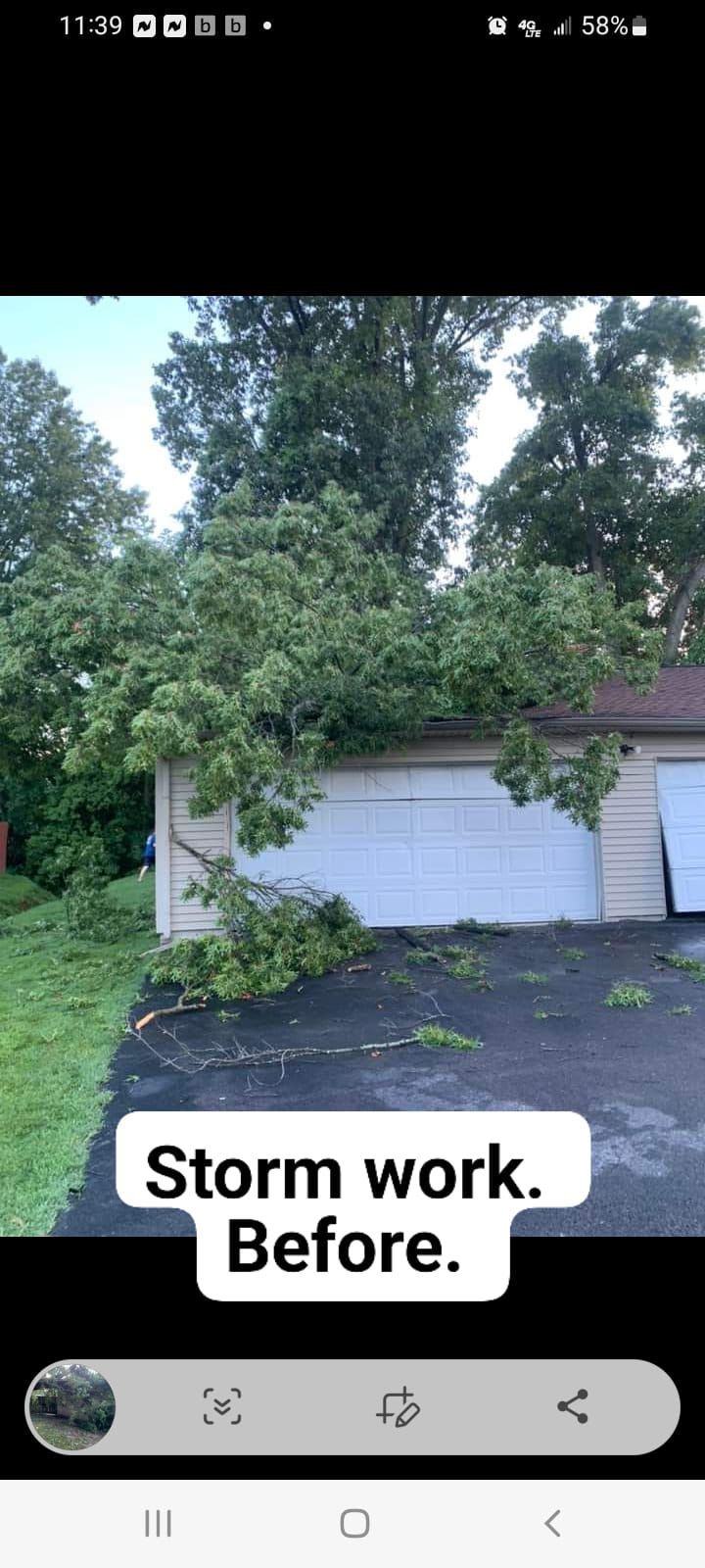 storm damage removal