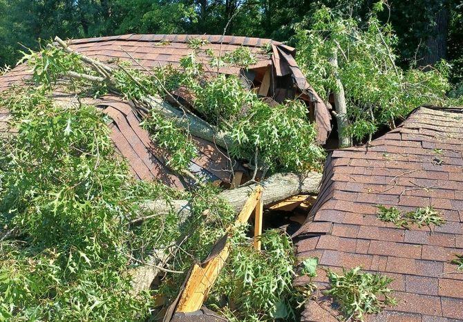 tree fallen on house