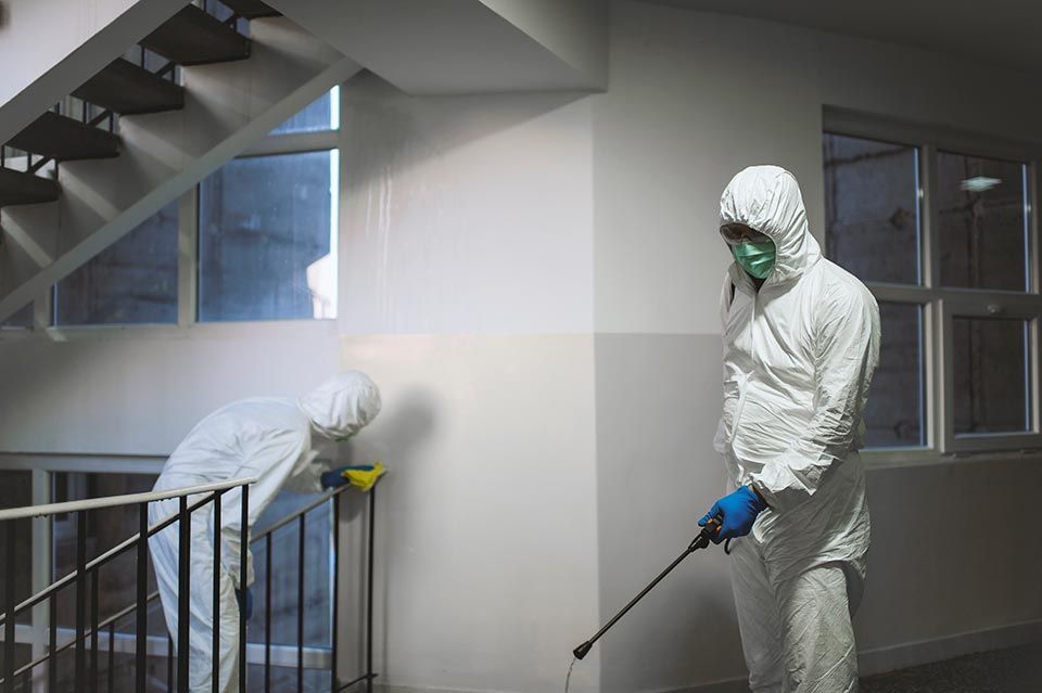 tecnici per disinfezione, disinfestazione e derattizzazione a Bari