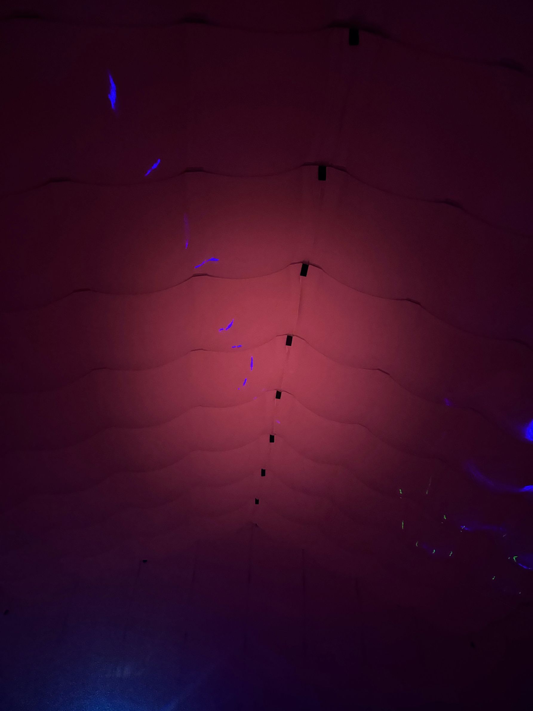 Rood verlicht plafond met verticaal hangende lichtsnoeren. De dieprode kleur vervaagt naar donkerpaars aan de randen.