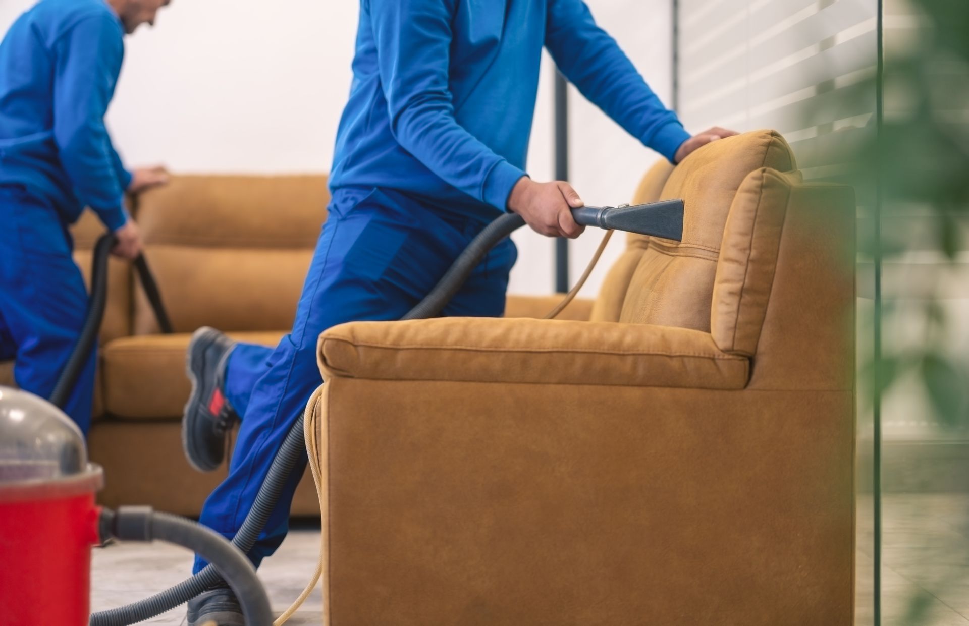 Two workers in blue uniforms are performing upholstery cleaning services on sofas Two workers in blue uniforms are performing upholstery cleaning services on sofas