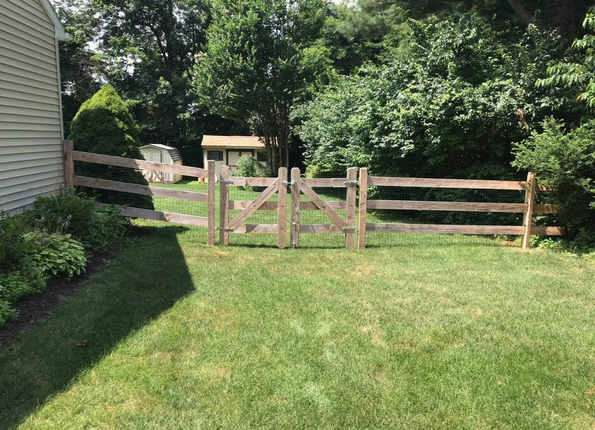 Sunny backyard with green lawn, wooden fence, and a gate beside a house and trees