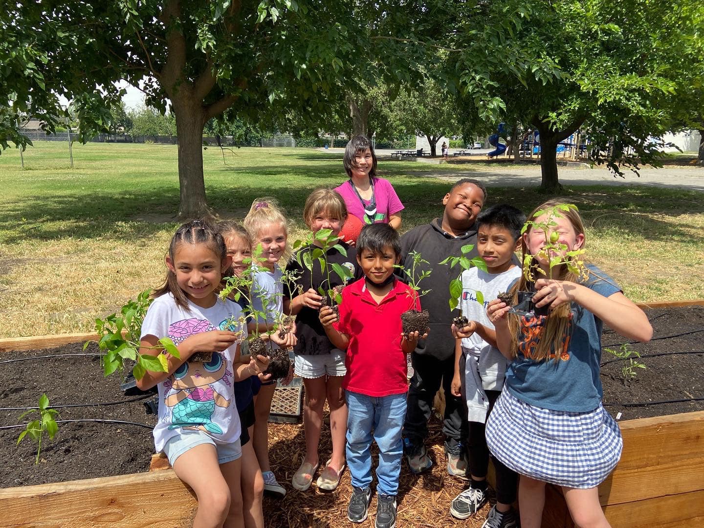 A group of elementary students hold veggie seedlings they will plant in their school garden