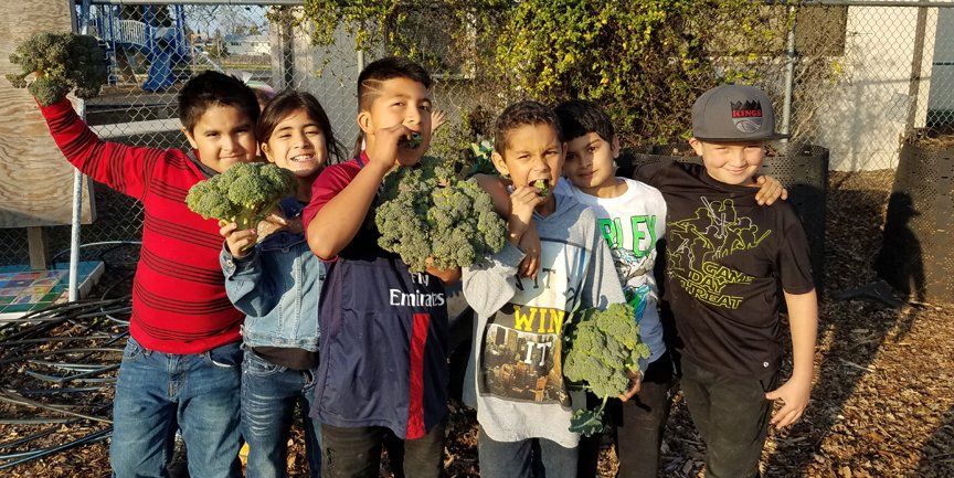 Announcing 2019 Yolo Farm to Fork grant winners!