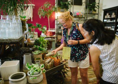 Summer Swirl & Slice