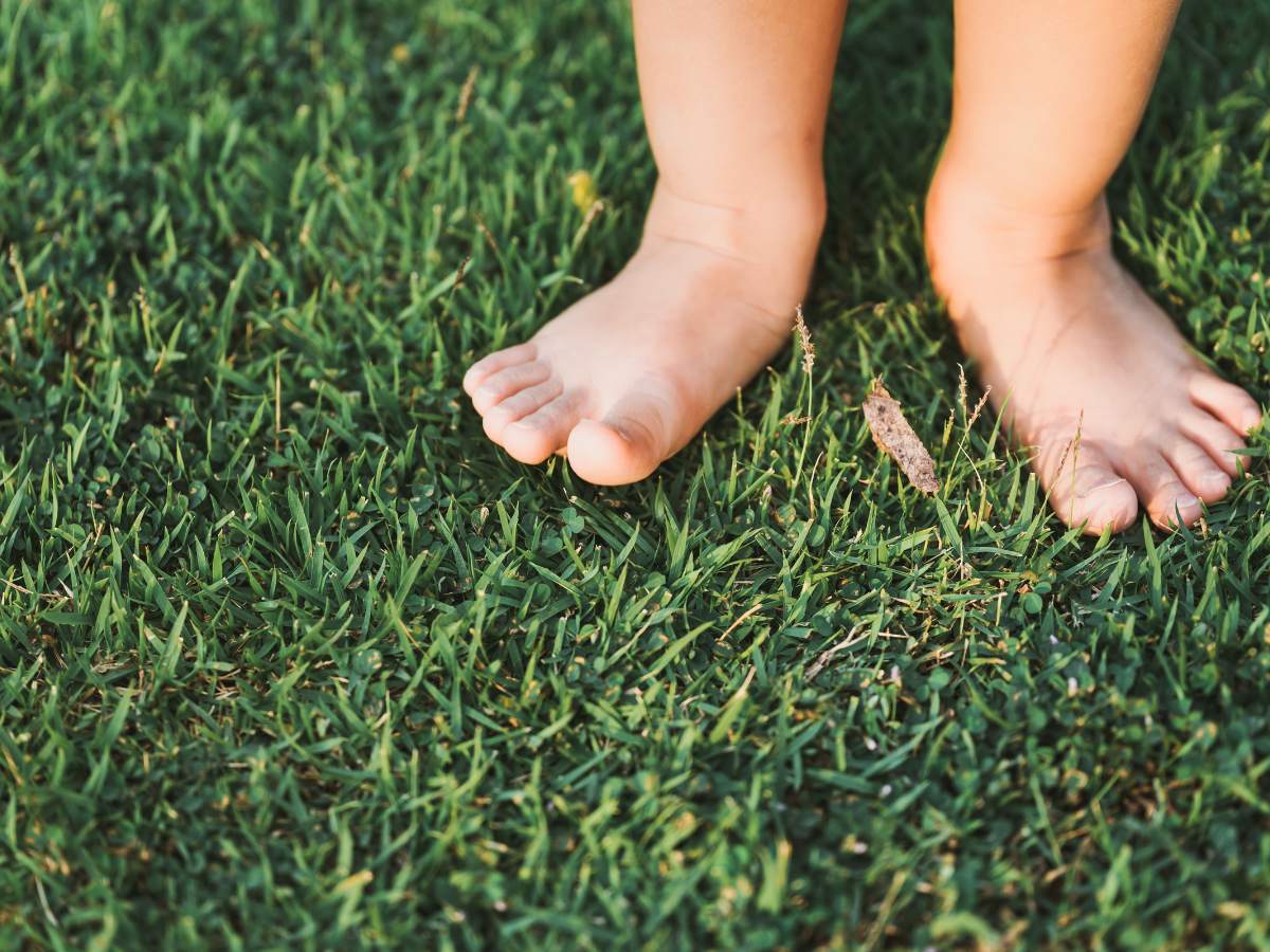 4 Reasons Fake Turf Is Great For Rainy Weather | Invest In Fake Turf