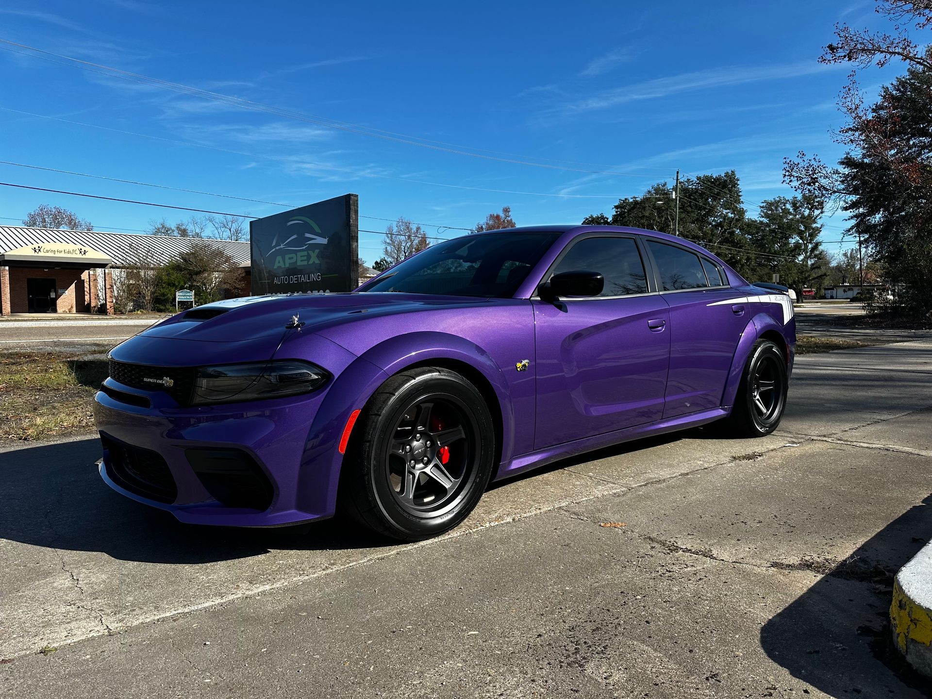 Purple Dodge Charger parked outside on a sunny day.